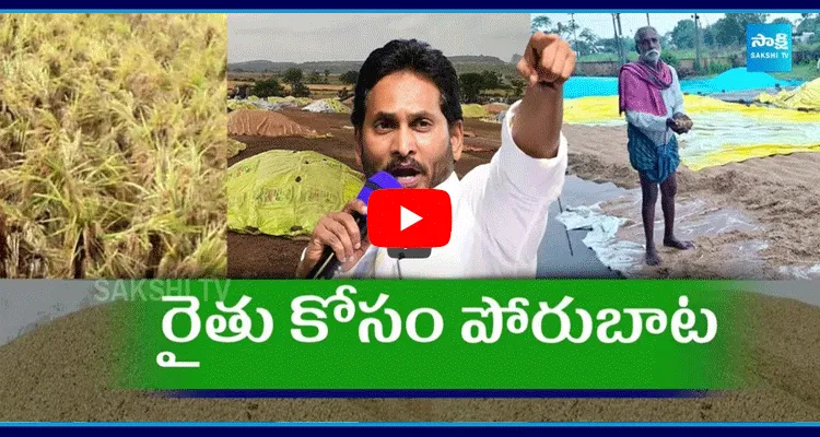 YSRCP Leaders Protest Against Farmers Problem