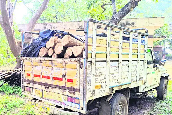 అక్రమంగా తరలిస్తున్న టేకు పట్టివేత 