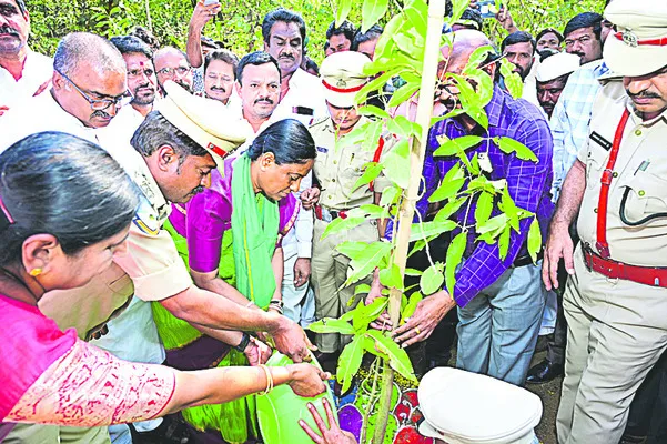 అర్బన్‌ పార్క్‌ అభివృద్ధికి చర్యలు