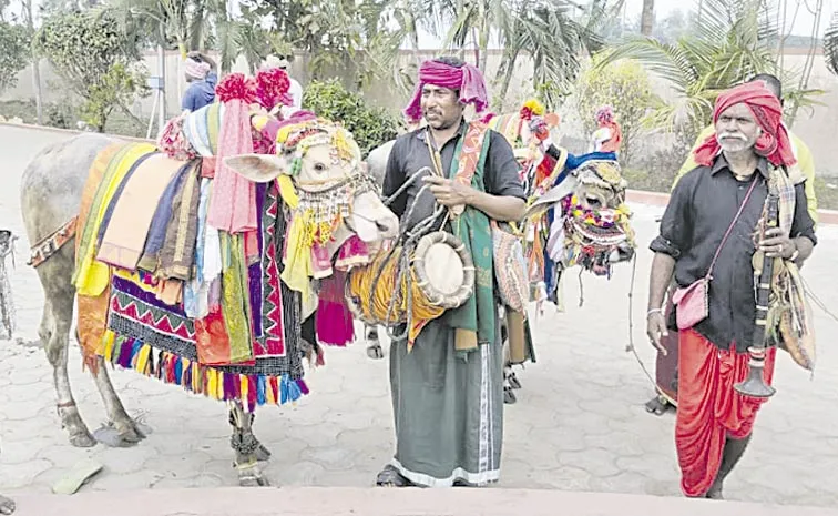 sankranti celebrations start in andhra pradesh