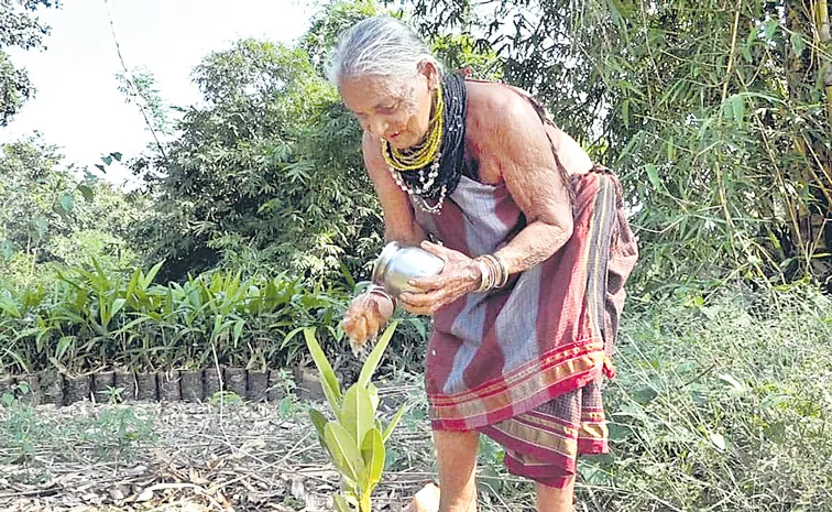 Padma Shri awardee environmentalist Tulasi Gowda dies at 86 in Ankola