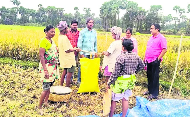 పంట కోత ప్రయోగంతో పక్కాగా దిగుబడి అంచనా 