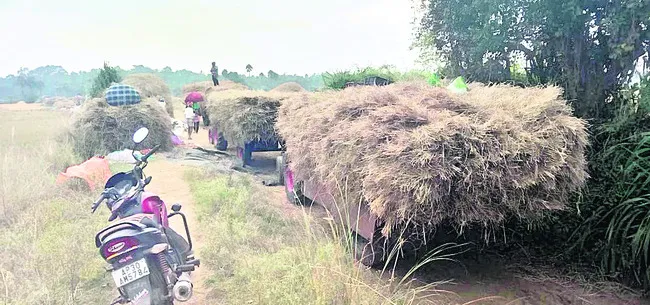 రోజులు జాగ్రత్త 
