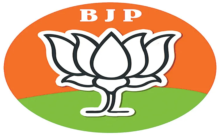 BJP likely to get new national president by February 2025