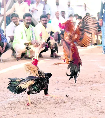 పిండ మార్పిడి సక్సెస్‌ 
