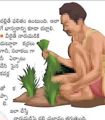 చలితో