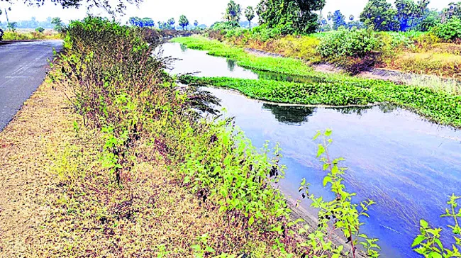 కాలువంతా నిర్లక్ష్యమే 