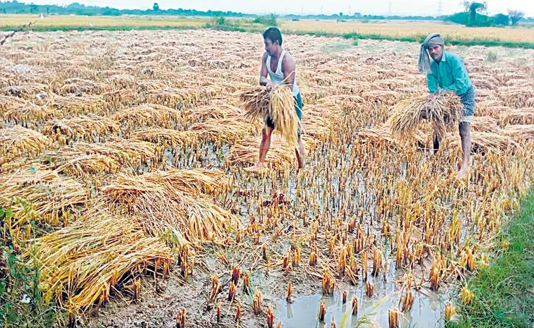 TDP coalition government has drowned Farmers