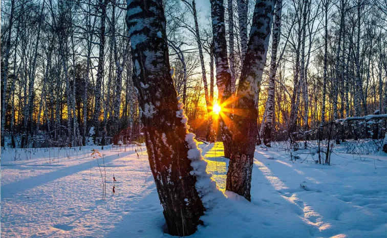 Winter Solstice Longest Night and Shortest Day of the year