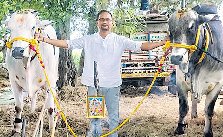 nellore software techie prepared his Bullocks for cart races