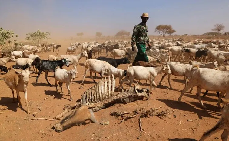 Kenya devastating drought is the worst in 40 years