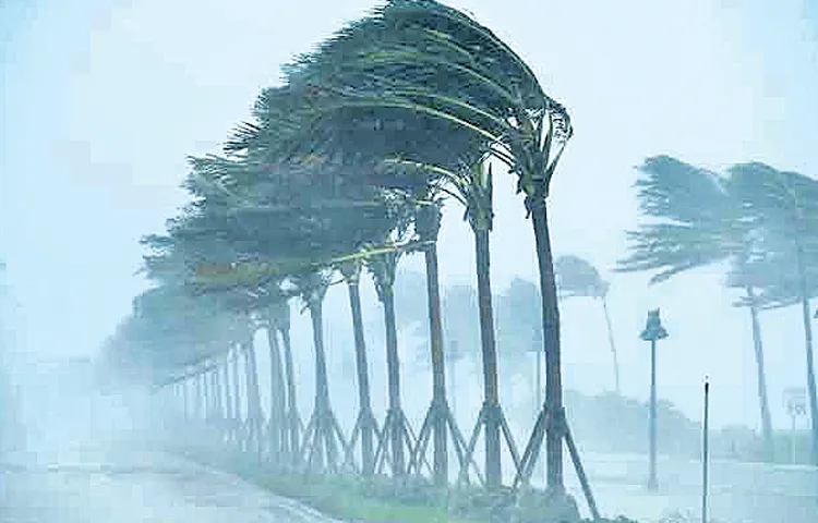 Heavy rains in the state in the next 48 hours