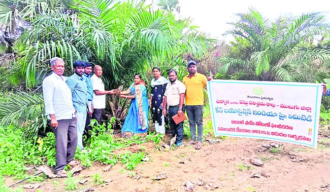 వచ్చే ఏడాది నుంచి దిగుబడి ప్రారంభం