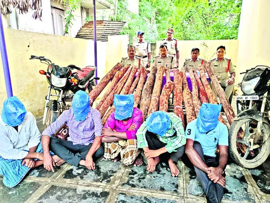 పుల్లంపేటలో ఐదుగురు స్మగ్లర్లు అరెస్టు 