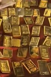 Gold And Cash Found In Abandoned Innova In Bhopal Jungle11