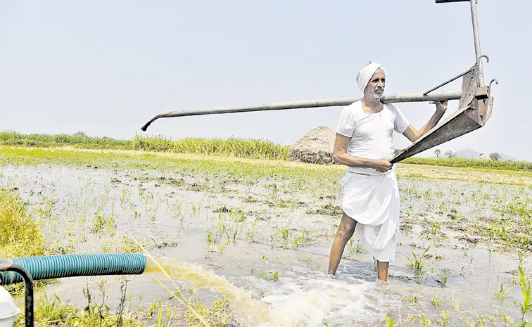 NABARD Rural Financial Survey: Growing agriculture in Andhra Pradesh