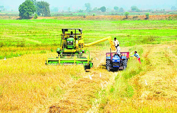 Harvester harvesting an acre of land in an hour