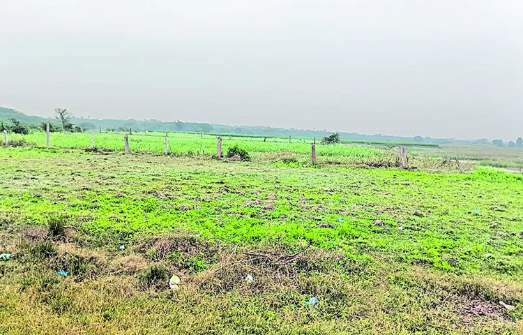 More than 50 acres of drainage lands in Vetapalem mandal