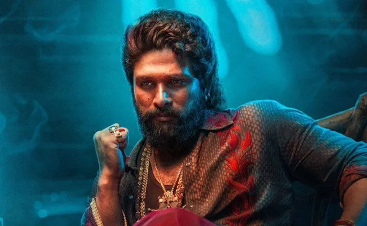 Allu Arjun Request For His Fans