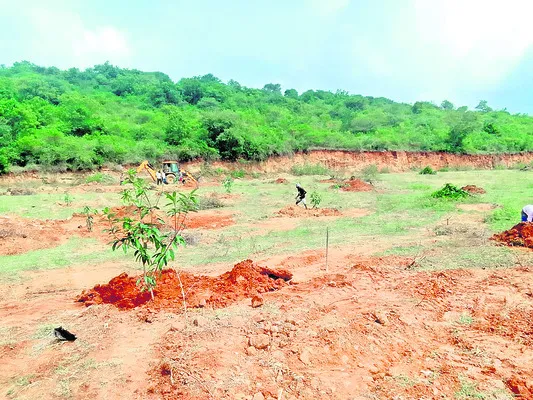 అధికారం అడ్డు పెట్టుకుని ఆక్రమణ 