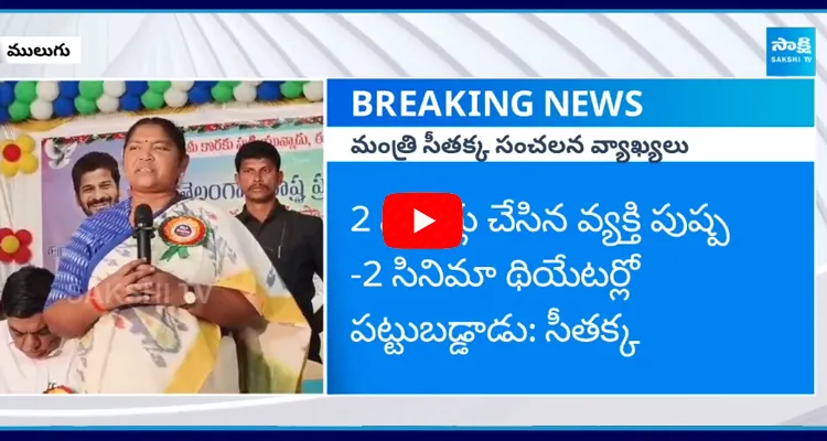 పుష్ప-2 మూవీపై హాట్ కామెంట్స్ చేసిన మంత్రి సీతక్క