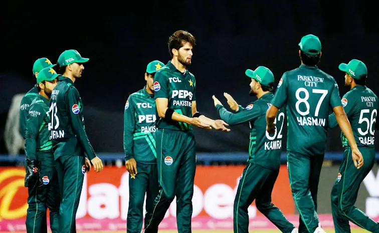 Pakistan Scripts History 3-0 Sweep Against South Africa 1st Team In World To