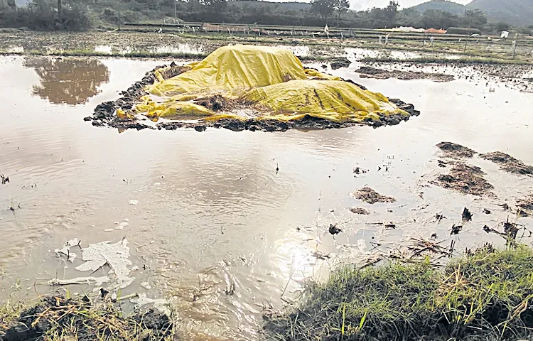 బలహీనపడిన వాయుగుండం 