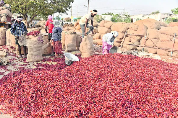 పెరిగిన సత్రశాల ఆదాయం 