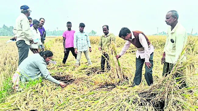 ప్రభుత్వం ఆదుకోవాలి 