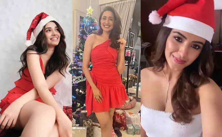 Telugu Actress Celebrates Christmas 2024