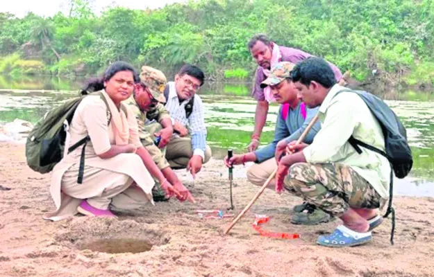 పెద్దవాగులో పులి సంచారం
