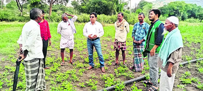 ప్రతి రైతు ఇ–క్రాప్‌ చేయించుకోవాలి