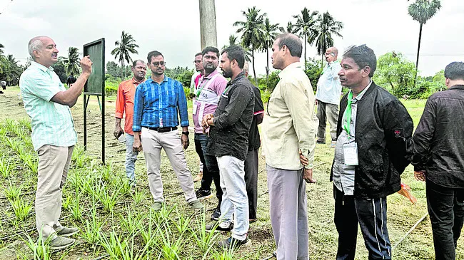 పూలసాగులో  మెళకువలతో అధిక దిగుబడి 