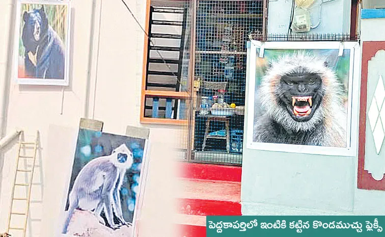 photo feature monkeys and dogs danger in Telangana