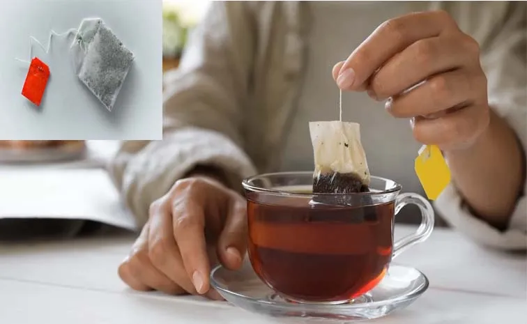 Tea Bags Made Polymer Based Materials Release Harmful Microplastics