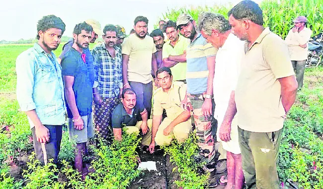 నల్లబెల్లి మండలం రుద్రగూడెం శివారులో  పెద్దపులి పాదముద్రలను పరిశీలిస్తున్న ఎఫ్‌ఆర్‌ఓ రవికిరణ్‌