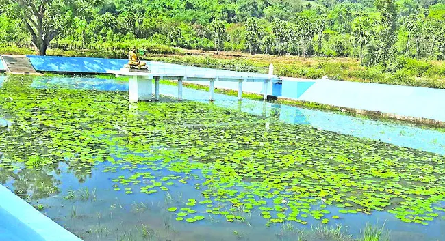 పర్యా