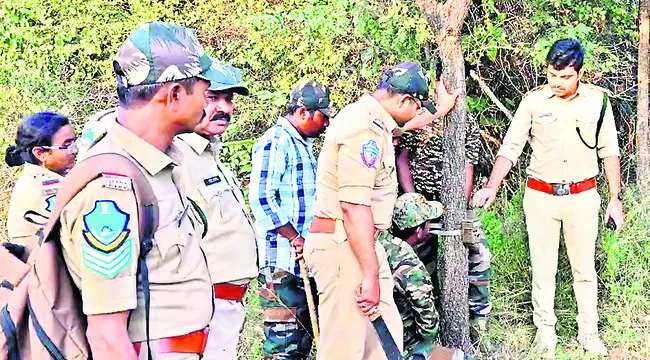 పులి తిరుగుతోంది.. జాగ్రత్త