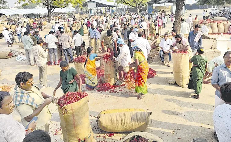 price of dried chillies has fallen drastically: Telangana