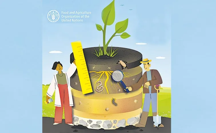 World Soil Day with CGIAR on December 5 2024