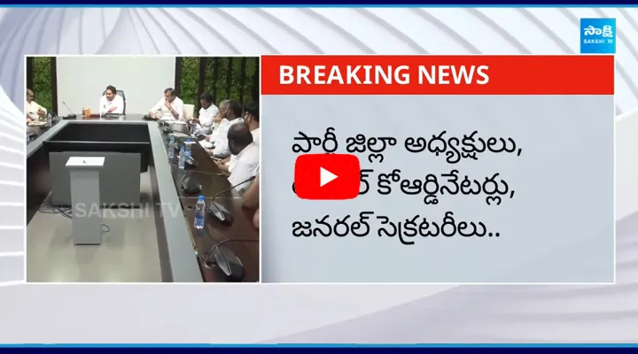 YS Jagan Scheduled Key Meeting With Party Leaders