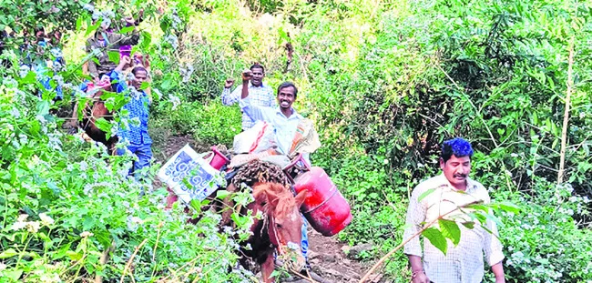 కలెక్టర్‌ గారూ.. మా ఊరు రండి..