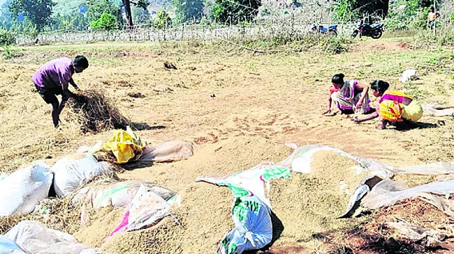 రాబుగుడలో ఏనుగుల బీభత్సం