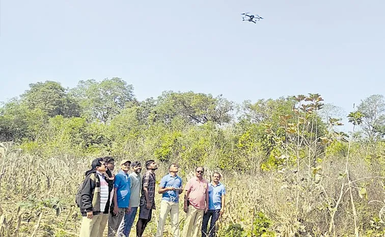 Tiger Roaming in Warangal District