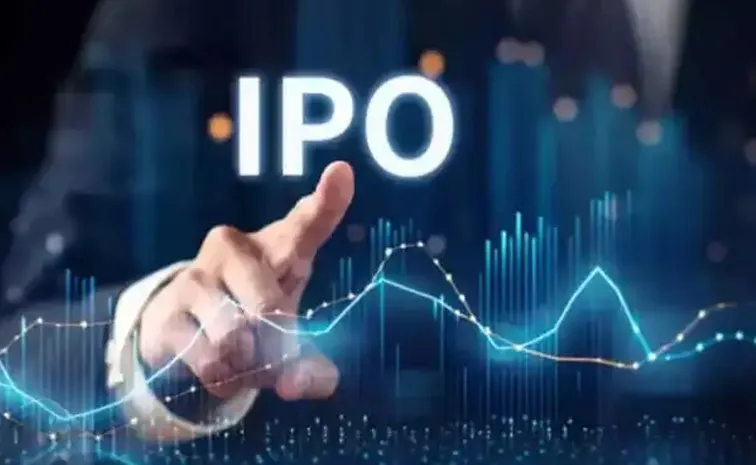 look at Mega IPOs of 2024 and what to expect in 2025