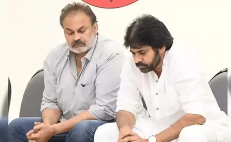 Pawan Kalyan Comments Over Nagababu Portfolio