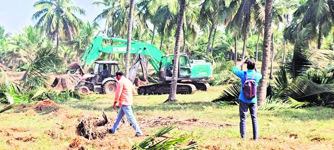 బల్క్‌ డ్రగ్‌ పార్కు పనులు ప్రారంభం