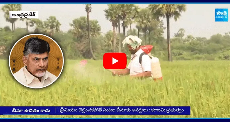 Andhra Pradesh Crop Insurance Is Not Free