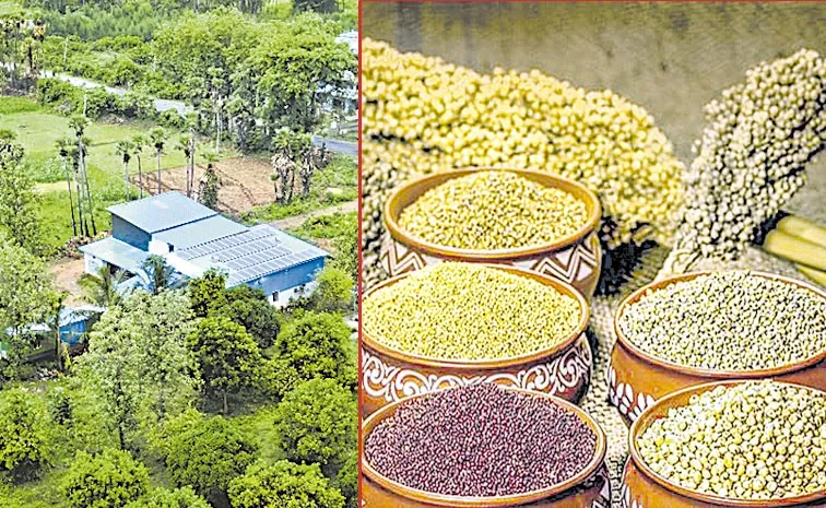 Women in Andhra Pradesh Thrive with Millet Factory