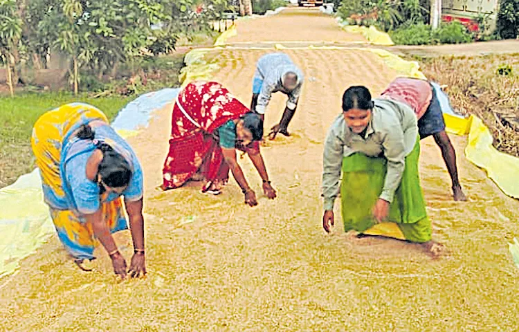 The government has become a grain broker